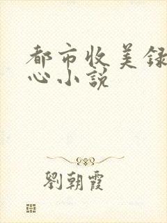 都市收美录宁素心小说