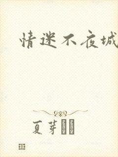 情迷不夜城