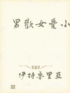男欢女爱小说