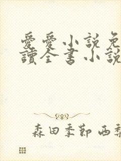 爱爱小说免费阅读全书小说乡村封面