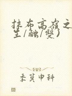 抹布高岭之花(生/触/双)封面