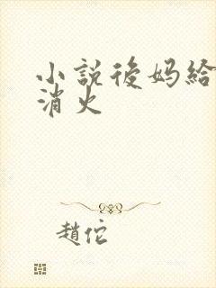 小说后妈给我消消火