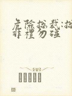 危险总裁:总裁非礼勿碰封面