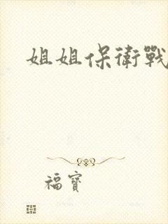 姐姐保卫战封面