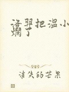 洛羿把温小辉做烂了