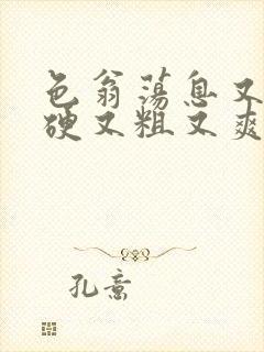 色翁荡息又大又硬又粗又爽