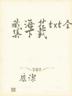 藏海花txt全集下载封面