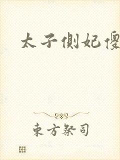 太子侧妃傻乎乎封面