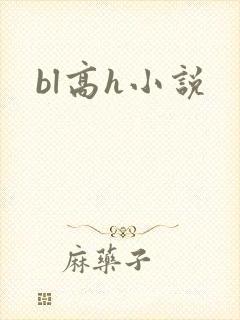 bl高h小说