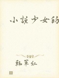 小说少女的心
