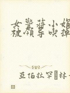 女警蒋小娟的奶被领导吃掉了封面