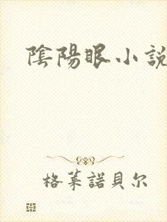 阴阳眼小说