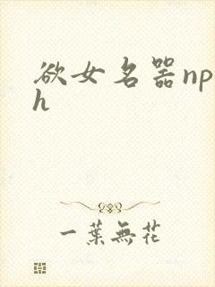 欲女名器np高h