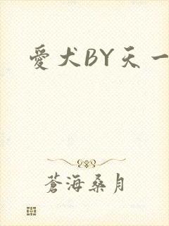 爱犬BY天一封面