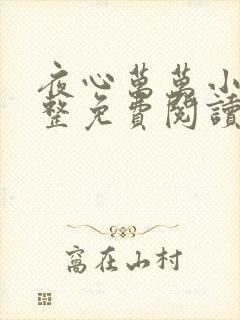 夜心万万小说完整免费阅读全文封面