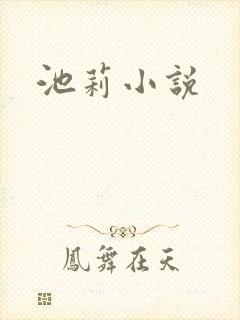 池莉小说
