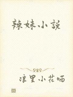 辣妹小说