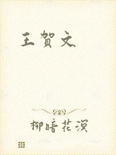 王贺文封面