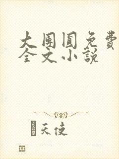 大团圆免费阅读全文小说