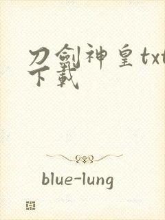 刀剑神皇txt下载封面