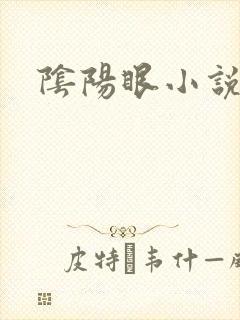 阴阳眼小说封面