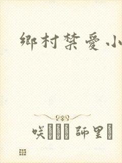 乡村禁爱小说封面