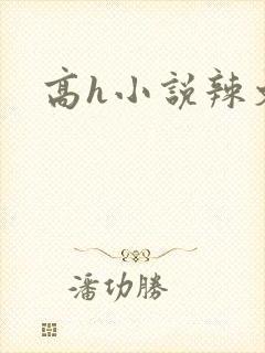 高h小说辣文