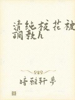 清纯校花被地狱调教h封面