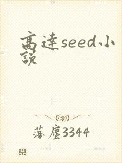 高达seed小说