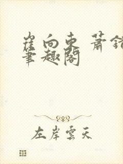 崔向东 萧错 笔趣阁