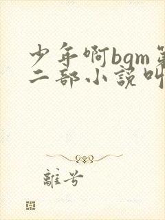少年啊bgm第二部小说叫什么