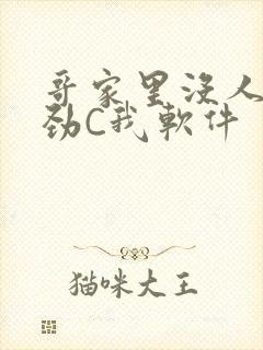 哥家里没人使点劲C我软件