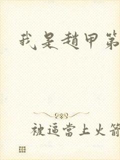 我是赵甲第小说封面