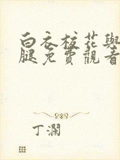 白衣校花与大长腿免费观看电视剧封面