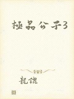 极品公子3