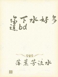 你下水好多下水道bd