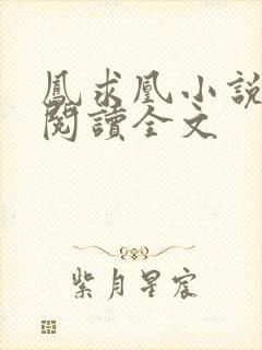 凤求凰小说免费阅读全文