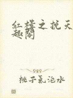 红楼之挽天倾笔趣阁