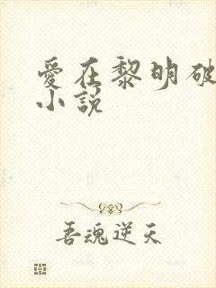 爱在黎明破晓前小说
