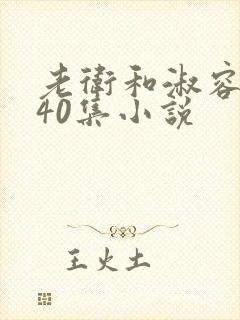 老卫和淑容1-40集小说