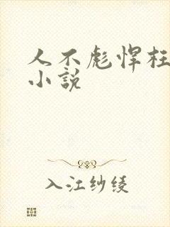 人不彪悍枉少年小说