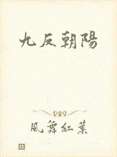 九反朝阳封面