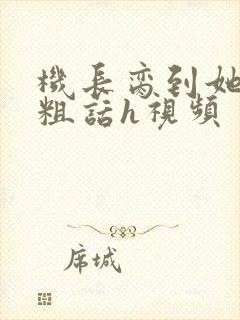 机长脔到她哭h粗话h视频封面