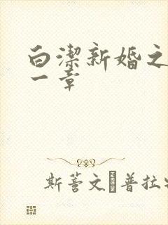 白洁新婚之夜第一章