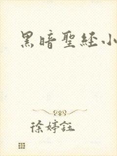 黑暗圣经小说封面