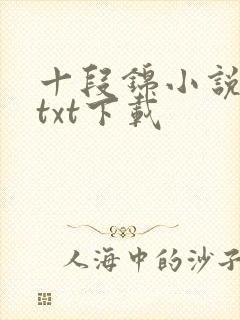 十段锦小说全本txt下载