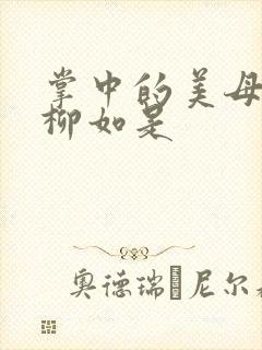 掌中的美母版主柳如是封面