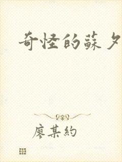奇怪的苏夕封面