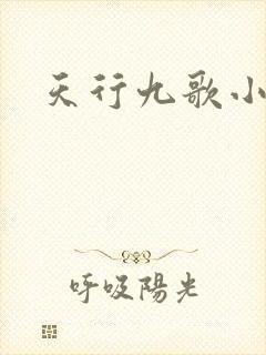 天行九歌小说