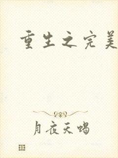 重生之完美一生